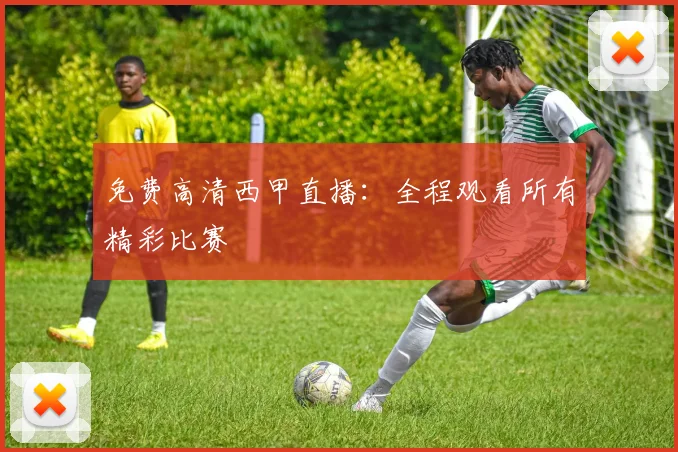 免费高清西甲直播：全程观看所有精彩比赛