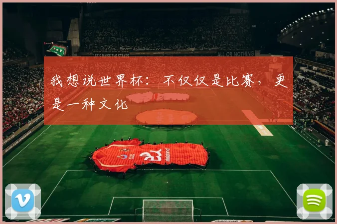 我想说世界杯:不仅仅是比赛,更是一种文化