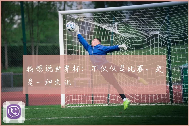 我想说世界杯:不仅仅是比赛,更是一种文化
