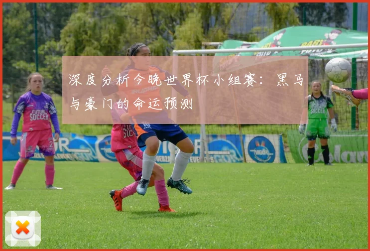 深度分析今晚世界杯小组赛:黑马与豪门的命运预测