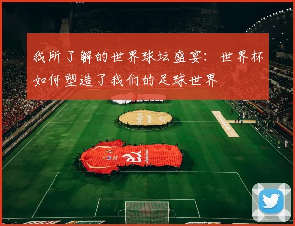 我所了解的世界球坛盛宴:世界杯如何塑造了我们的足球世界