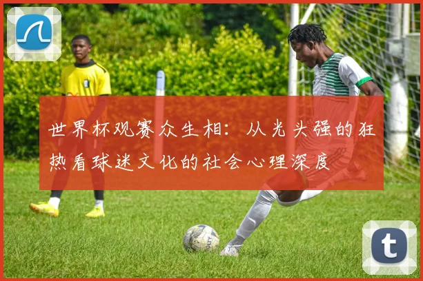 世界杯观赛众生相：从光头强的狂热看球迷文化的社会心理深度